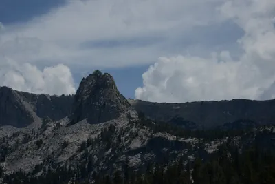 DSC_3226 (Large).JPG